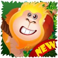 Ape The Wall