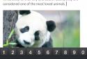 Office Mobile for Office 365 screenshot 4