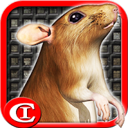 Sewer Rat Run