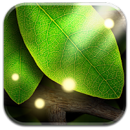 Tap Leaves LWP Tap Leaves LWP