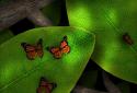 Tap Leaves LWP screenshot 1 Tap Leaves LWP screenshot 1