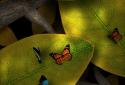 Tap Leaves LWP screenshot 3 Tap Leaves LWP screenshot 3