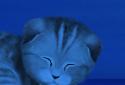 Silvery the Kitten HD LWP screenshot 6