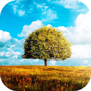 Awesome Land 2 Live Wallpaper
