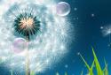 Dandelion Live Wallpaper screenshot 4 Dandelion Live Wallpaper screenshot 4