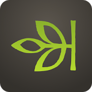 Ancestry Ancestry