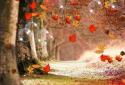 Autumn Pro Live Wallpaper screenshot 4