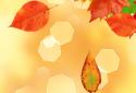 Falling Autumn Leaves LWP screenshot 5