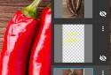 PhotoSuite 4 Pro screenshot 4 PhotoSuite 4 Pro screenshot 4