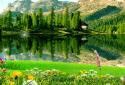 Landscape Live Wallpaper PRO screenshot 3 Landscape Live Wallpaper PRO screenshot 3