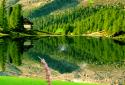 Landscape Live Wallpaper PRO screenshot 5 Landscape Live Wallpaper PRO screenshot 5