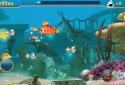 Fish Predator screenshot 1