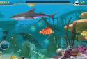 Fish Predator screenshot 5
