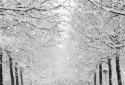 Winter Live Wallpaper HD screenshot 5