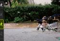 Motion Shot screenshot 3