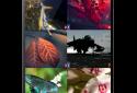 ULtra HD Wallpapers screenshot 2