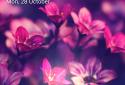 ULtra HD Wallpapers screenshot 3