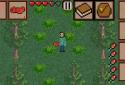 Survival Time screenshot 1