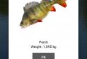 Mobile Fishing screenshot 2