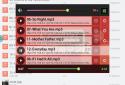 LaPlayer screenshot 11