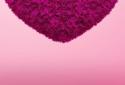 Fluffy Hearts Live Wallpaper screenshot 3