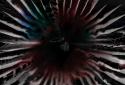 PolyFauna screenshot 5