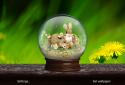 Spring Live Wallpaper Pro screenshot 12 Spring Live Wallpaper Pro screenshot 12