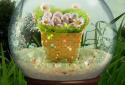 Spring Live Wallpaper Pro screenshot 2 Spring Live Wallpaper Pro screenshot 2
