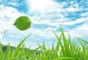 Spring Live Wallpaper screenshot 5