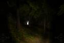 Forest screenshot 4
