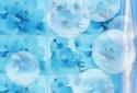 Bubbles screenshot 4
