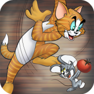 Cats vs Mice