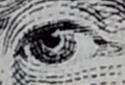 Cozy Magnifier & Microscope Plus screenshot 3 Cozy Magnifier & Microscope Plus screenshot 3
