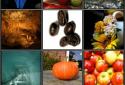 GT Photo Albums 3D screenshot 5