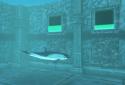 Can you escape Mermaid Cage? screenshot 6