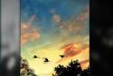 Sunset Hill Live Wallpaper screenshot 4