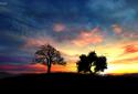Sunset Hill Live Wallpaper screenshot 7