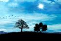 Blue Sky Live Wallpaper screenshot 4