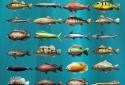 Let's Fish: Sport Fishing Games. Fishing Simulator screenshot 3