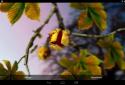Autumn Leaves in HD Gyro 3D XL screenshot 12
