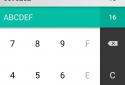RadixCalc+ screenshot 3