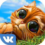 Инди Кот