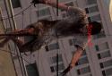 Judgement day 2-zombie shooting 3d screenshot 2
