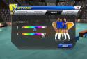 VolleySim screenshot 5
