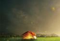 Fireflies lockscreen screenshot 5