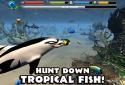 Dolphin Simulator screenshot 4