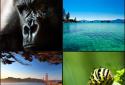 Muzei Live Wallpaper screenshot 17