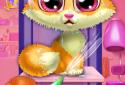 Dr. Paw-Opening Of The Clinic screenshot 1
