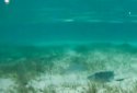 Lagoon Waves Live Wallpaper 4 screenshot 3