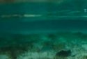 Lagoon Waves Live Wallpaper 4 screenshot 4
